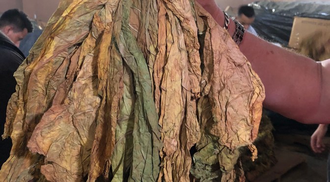 Judges: FDA acted improperly, EPA exceeded authority