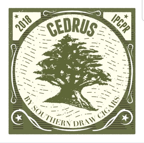 Cedrus1